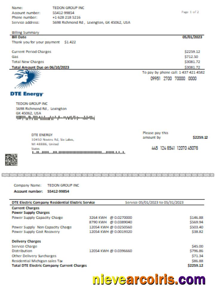 DTE Energy utility business bill page 1